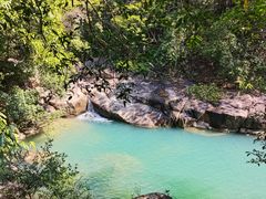 -广州白江湖森林公园