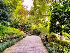 -杭州半山国家森林公园