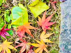 -天姥山