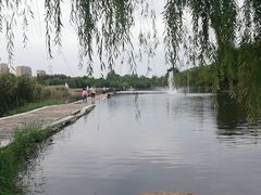 -前关湿地公园