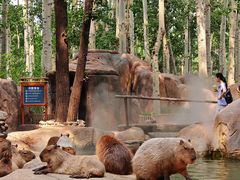 -北京野生动物园