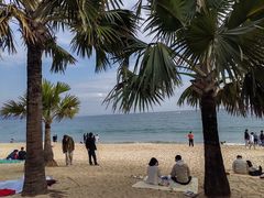 -大梅沙海滨公园