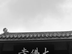 -荣县大佛