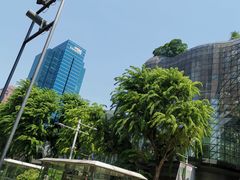 -爱雍·乌节