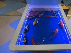 -meland亲子乐园•派对•研学(苏州悠方购物中心店)