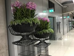 -曼谷素万那普国际机场