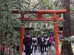 -野宫神社