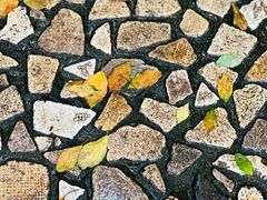 -重庆市江北嘴中央商务区中央公园