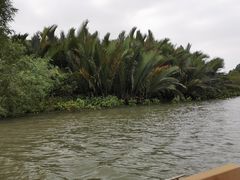 -东寨港红树林旅游区