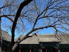 -张学良旧居陈列馆(大帅府)