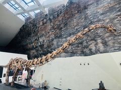 -中华赏石园
