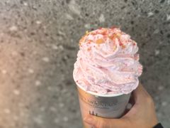 -雾与山茶(大禹城店)