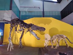 -湖南省地质博物馆