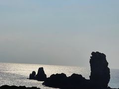 -涉地可支