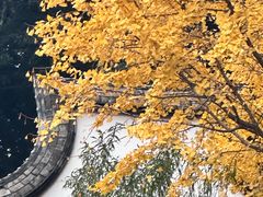 -乌山风景区