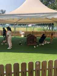 -萌宠亲子动物乐园(槐房万达店)