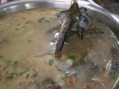 -盘龙黄鳝(盘龙居店)