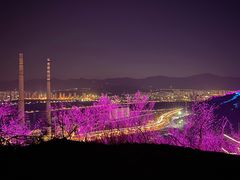 -红光山