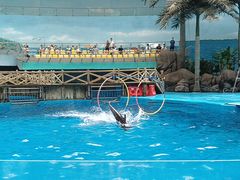 -海合安成都极地海洋公园