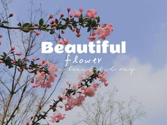 -上海山野camping·户外天幕烧烤·团建拓展营地