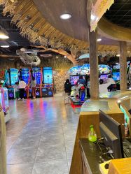 点击看大图 -卡通尼·Safari非洲探索乐园·生日会(金桥国际商业广场店)