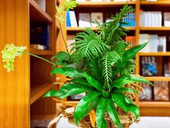 -二酉书店TOYOU BOOKS