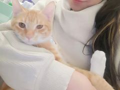 -荔康动物医院(康王北路店)