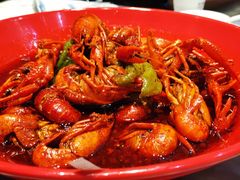 -红辣椒·川菜·火锅(张杨路店)