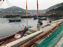 -枸杞岛