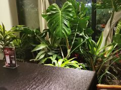 -太守宴·蘭院(天塔店)