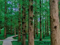 -国家植物园南园