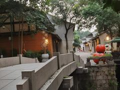 -西溪国家湿地公园