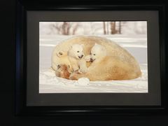 -罗红摄影艺术馆