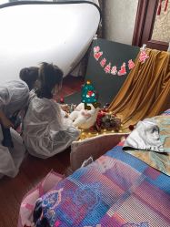 -爱你宝贝孕婴亲子摄影美学馆(绍兴店)