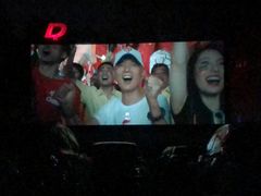 -枫花园汽车电影院(朝阳公园店)