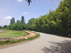 -林间山庄