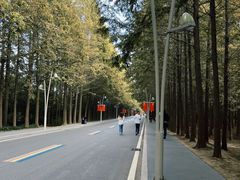 -日照灯塔风景区