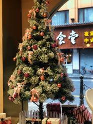 -本小姐美学·半永久纹眉野生眉