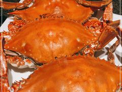 -渔民船说·北塘海鲜·天津菜·海肠捞饭(北塘古镇店)