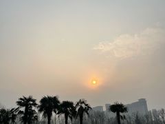 -洛阳市隋唐城遗址植物园