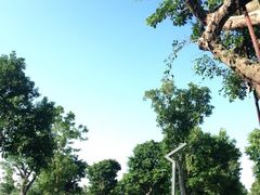 -琅岐红光湖公园