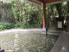 -罗浮山嘉宝田森林温泉度假酒店