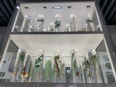 -北京中医药大学-中医药博物馆
