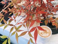 -red donkey coffee