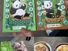 -成都大熊猫繁育研究基地