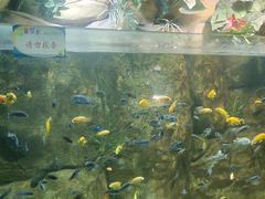 -嘉兴海底世界