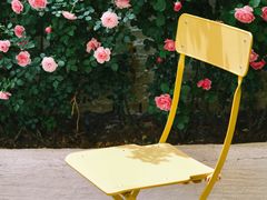 -AHAVA·Fang Baking Studio