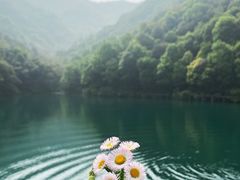 -龙坞茶村
