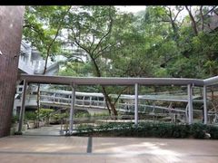 -香港大学