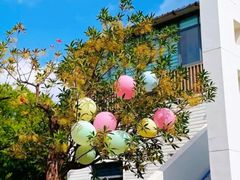 -玛利娅蒙特梭利双语幼儿园·托育(百家湖直营园)